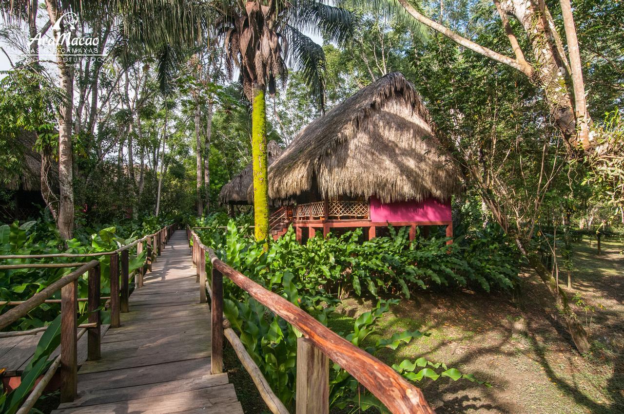 Guacamayas Resort, Selva Lacandona, Chiapas México Lodge Tlatizapán