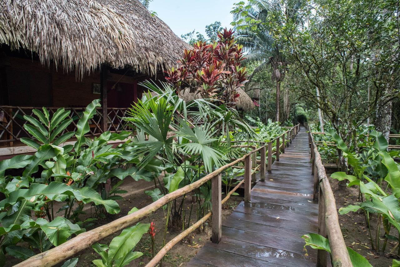 Guacamayas Resort, Selva Lacandona, Chiapas México Lodge *